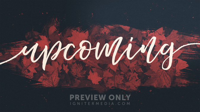 Brushed_Leaves-Upcoming_WIDE-TITLE-2#preset=tg_title2.jpg