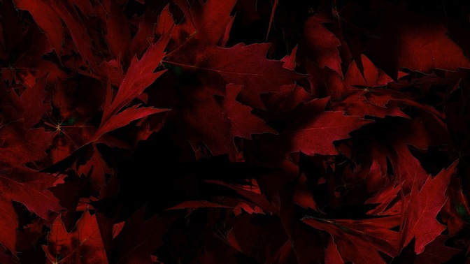 leaves red