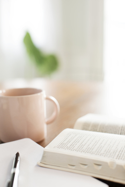 Morning Light On An Open Bible And Notebook Next To A Coffee Cup. - Stock  Photos | Prixel Creative
