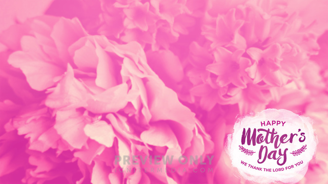Flower_Fields-Happy_Mothers_Day_WIDE-CONTENT-1#preset=tg_alt1.jpg