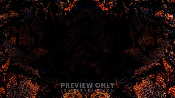 FallBack-WIDE#preset=tg_alt2.jpg