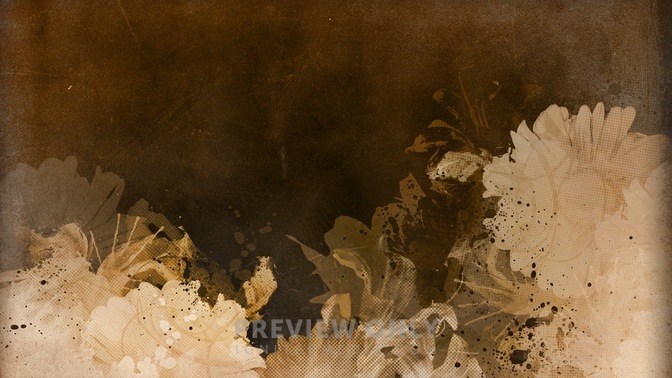 Flower_3_16x9.jpg