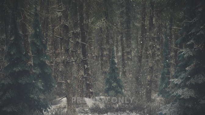 Winter_Wonderland_5_HD.jpg