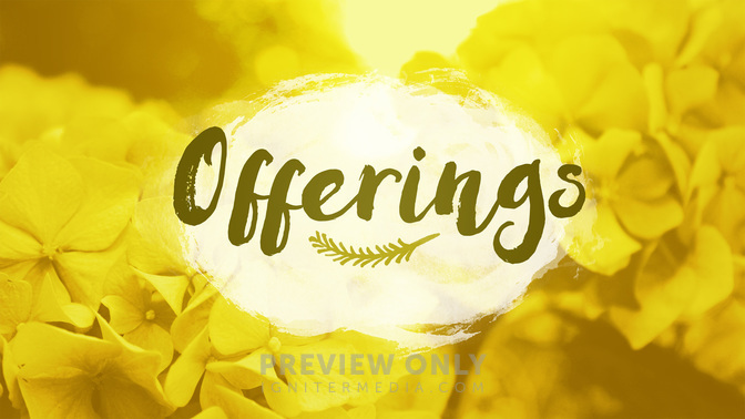 Flower_Fields-Offerings_WIDE-TITLE-2#preset=tg_title2.jpg