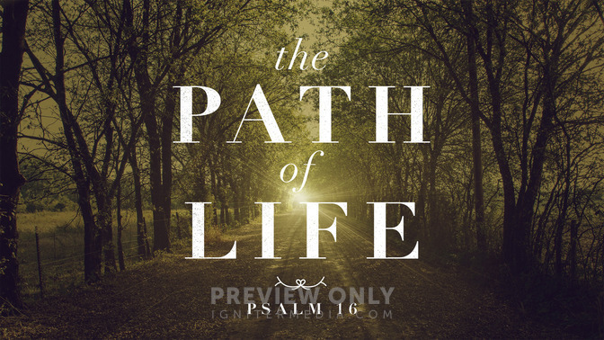 the path of life