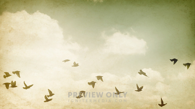 Unity_Gods_Place_of_Blessing_16x9-TITLE-3#preset=tg_title3.jpg