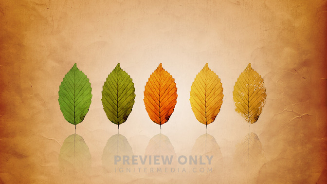 Listos_Para_Morir_16x9-TITLE-3#preset=tg_title3.jpg