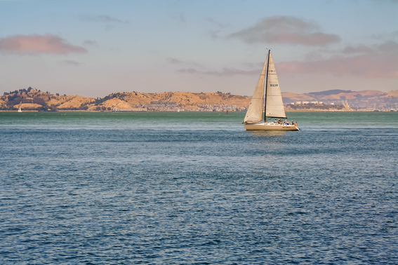 Sailboat On A Lake.