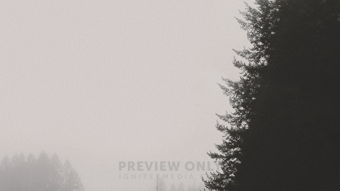 My_Peace_I_Give_To_You_WIDE-CONTENT-3#preset=tg_alt3.jpg