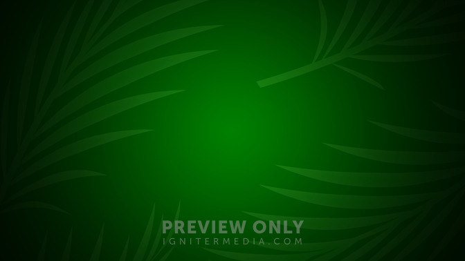 Palm_Sunday_16x9-CONTENT-3#preset=tg_alt3.jpg