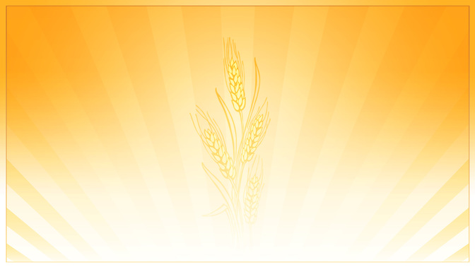 daily bread