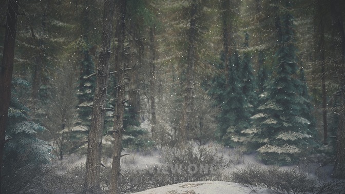 Winter_Wonderland_8_HD.jpg