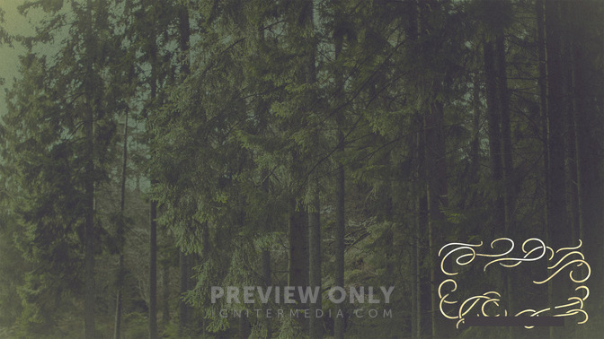 Summer_Camp_16x9-CONTENT-3#preset=tg_alt3.jpg