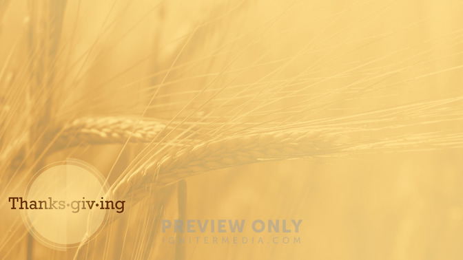 Thanksgiving_16x9-CONTENT-2#preset=tg_alt2.jpg