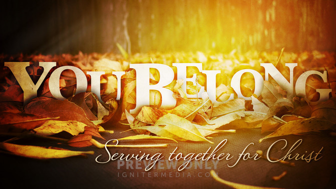 you belong