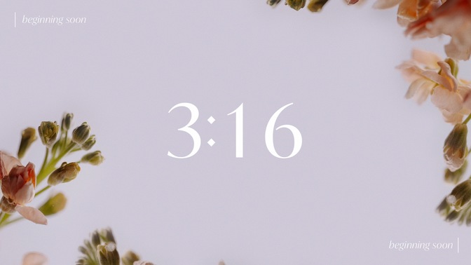 Floral_Details_Floral_Details_Countdown_01_HD.jpg