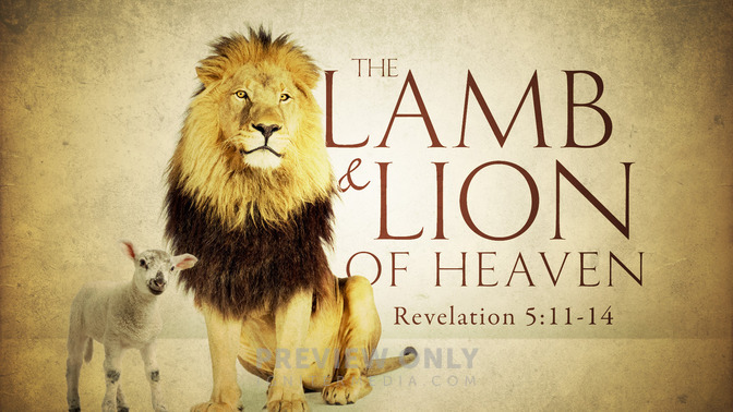 the lamb & lion of heaven