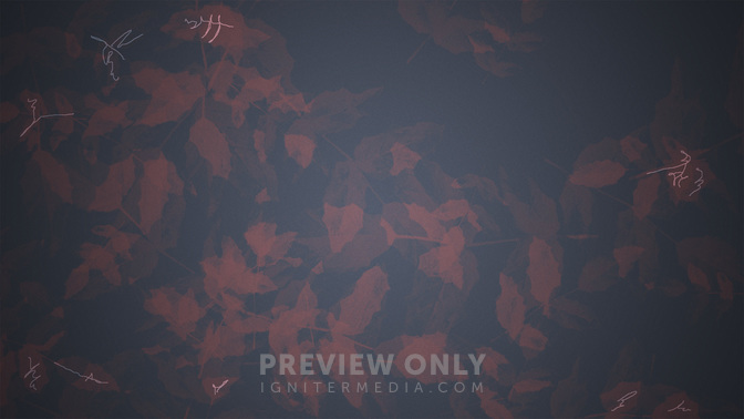 Thanksgiving-Volunteers_WIDE-CONTENT-3#preset=tg_alt3.jpg