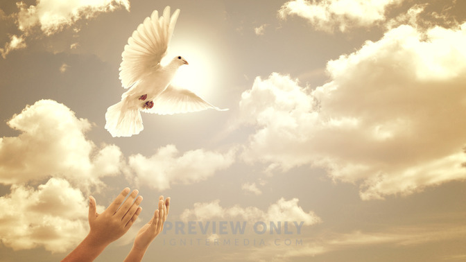 Grace_Givers_16x9-TITLE-3#preset=tg_title3.jpg