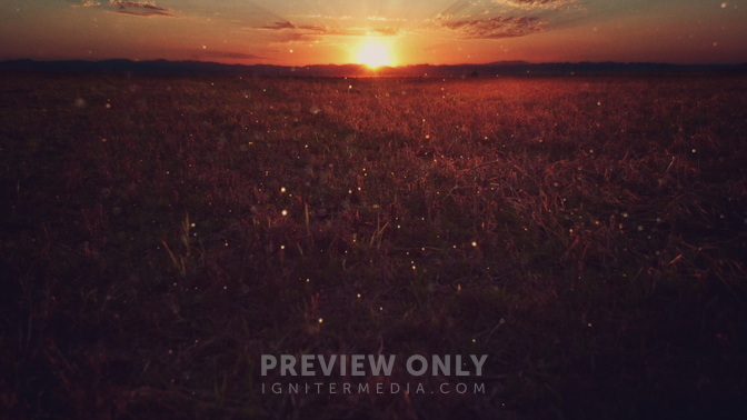 Golden_Field_HD.jpg