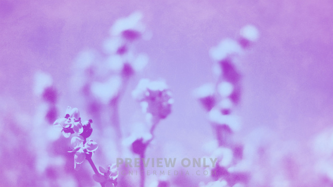 Pastel_Scenes-Offerings_WIDE-TITLE-3#preset=tg_title3.jpg