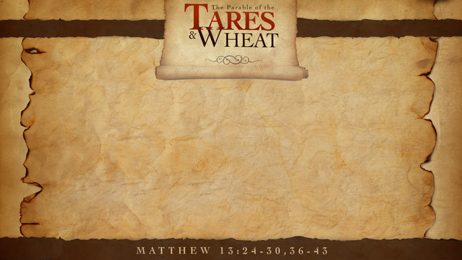 The_Parable_of_the_Tares__Wheat_16x9-CONTENT-1#preset=tg_alt1.jpg