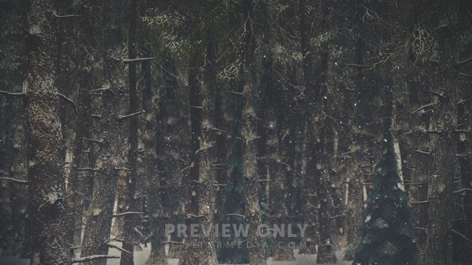 Winter_Wonderland_2_HD.jpg
