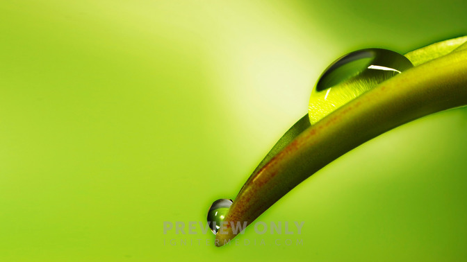 Satisfied_With_His_Goodness_16x9-TITLE-3#preset=tg_title3.jpg