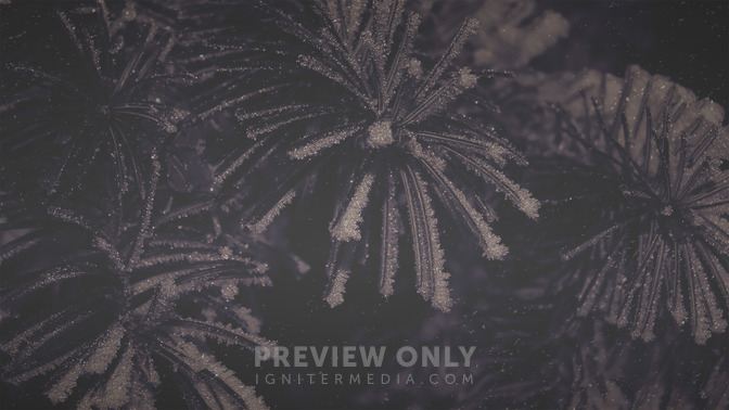 Winter_Woods_-_Thanks_For_Coming_16x9-BACKGROUND#preset=tg_bg.jpg