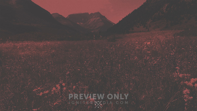Discernment_16x9-BACKGROUND#preset=tg_bg.jpg