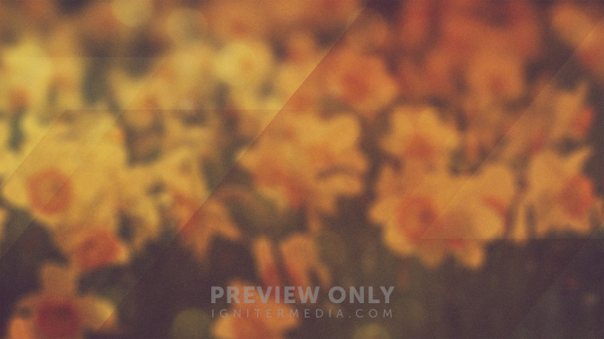 Morning_Flowers_-_Welcome_16x9-BACKGROUND#preset=tg_bg.jpg