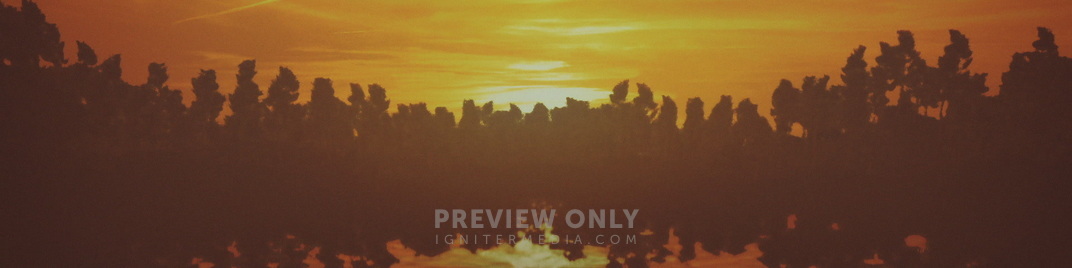 Sunset_Reflections_Trees_MS_1920x480.jpg