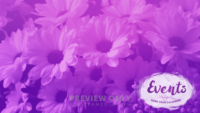 Flower_Fields-Events_WIDE-CONTENT-1#preset=tg_alt1.jpg