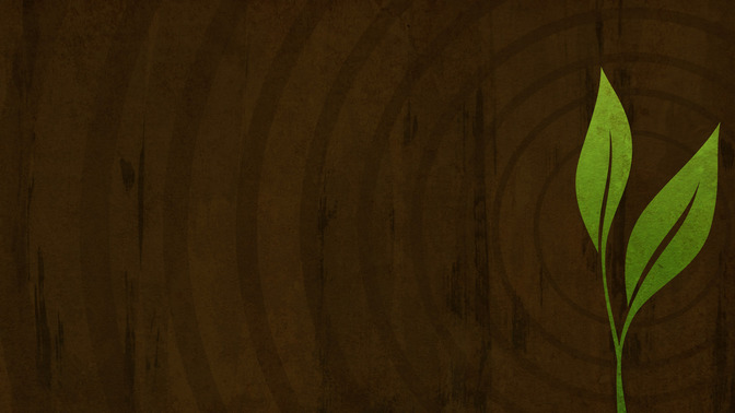Life_of_a_Seed_16x9-BACKGROUND#preset=tg_bg.jpg