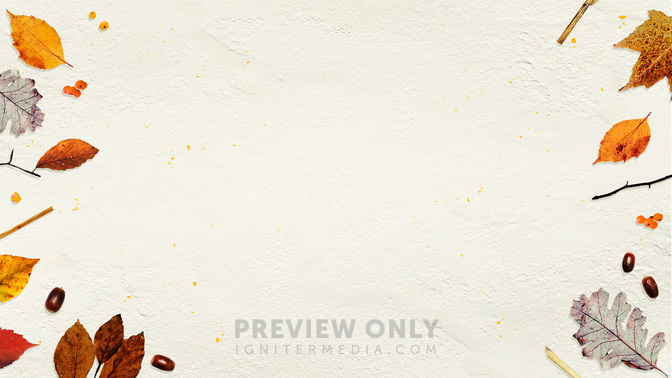 Fall_Festival_WIDE-CONTENT-3#preset=tg_alt3.jpg