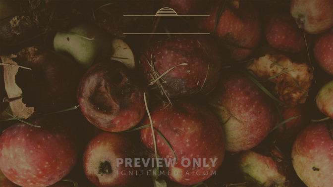 Rotten_Fruit_16x9-CONTENT-3#preset=tg_alt3.jpg
