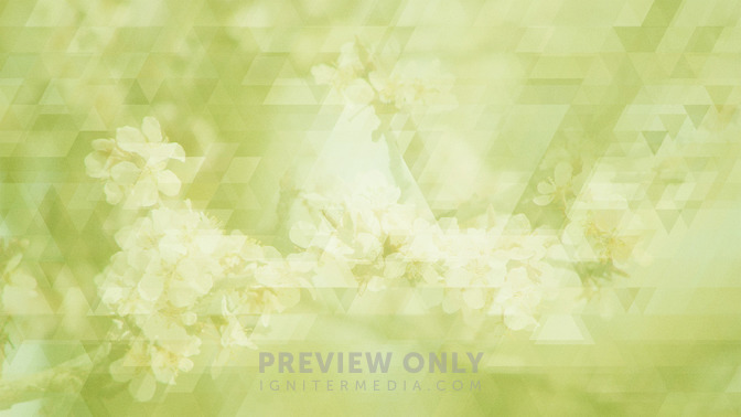 Spring_Shapes_-_Thanks_For_Coming_16x9-TITLE-3#preset=tg_title3.jpg