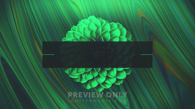 Spring_Mix-Offerings_WIDE-TITLE-3#preset=tg_title3.jpg