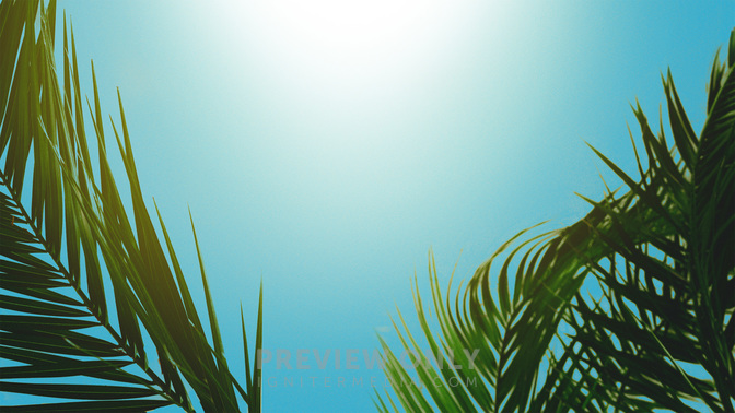 PalmSundayWelcome_WIDE-#preset=tg_title3.jpg