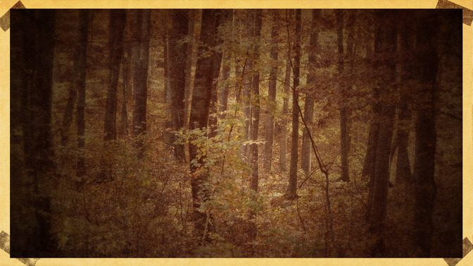 Vintage_De_La_Cada_-_Dios_Los_Bendiga_16x9-BACKGROUND#preset=tg_bg.jpg