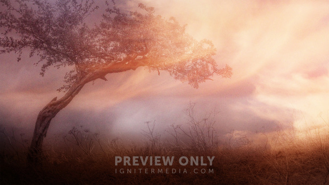 Glory_In_Tribulation_16x9-TITLE-3#preset=tg_title3.jpg