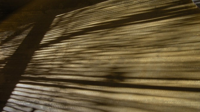 shadow cast 1