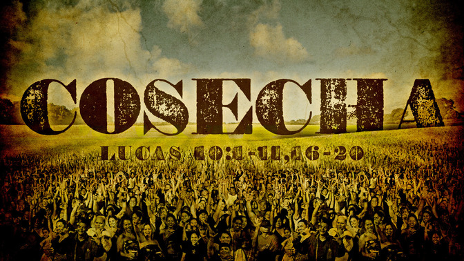 cosecha