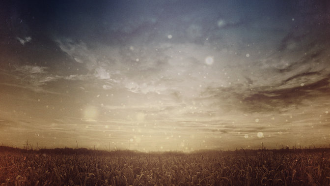 Fall_Twilight_Wheat_720_Preview.jpg