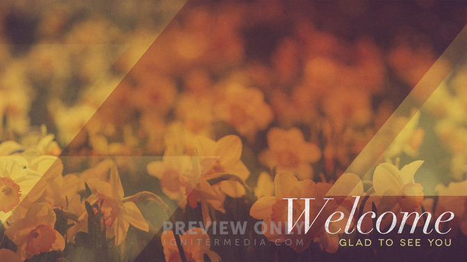 Morning_Flowers_-_Welcome_16x9-CONTENT-1#preset=tg_alt1.jpg