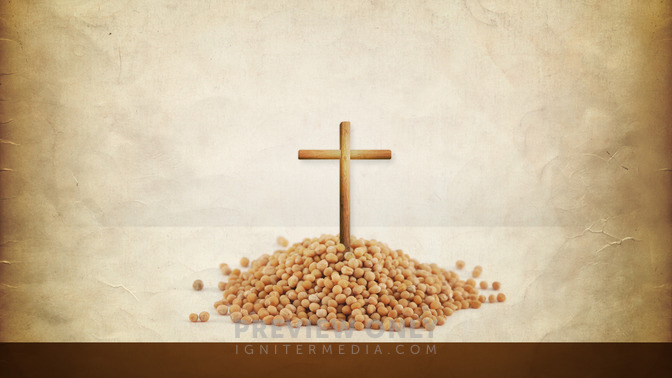 Semillas_de_Resurreccin_16x9-TITLE-3#preset=tg_title3.jpg