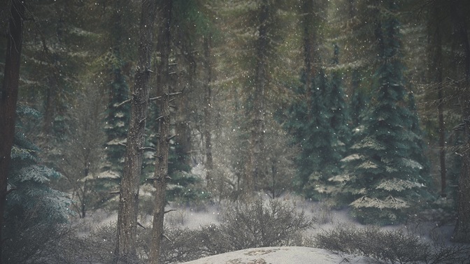 winter wonderland 8