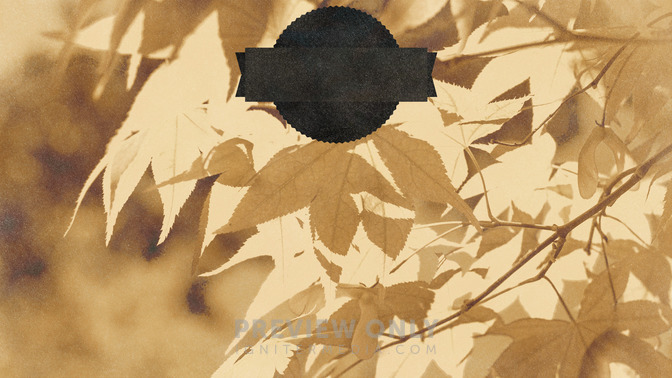 Golden_Harvest_-_Give_Thanks_16x9-CONTENT-3#preset=tg_alt3.jpg