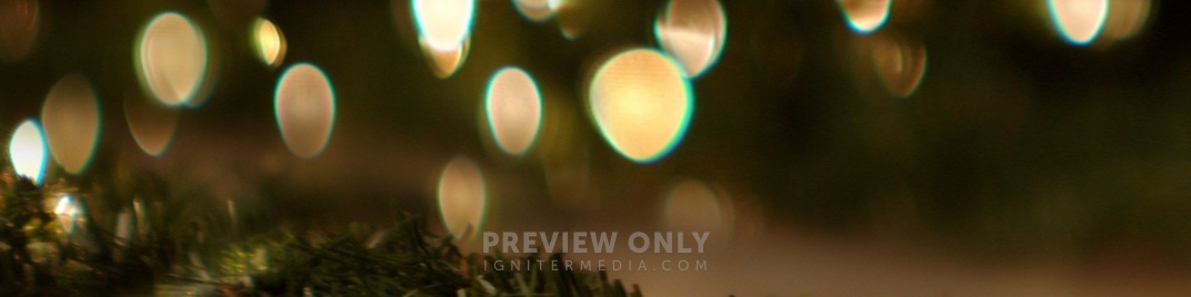 Garland_Lights_UW_SD.jpg