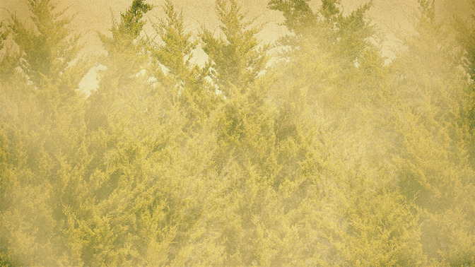 Christmas_Volunteers_Needed_16x9-BACKGROUND#preset=tg_bg.jpg